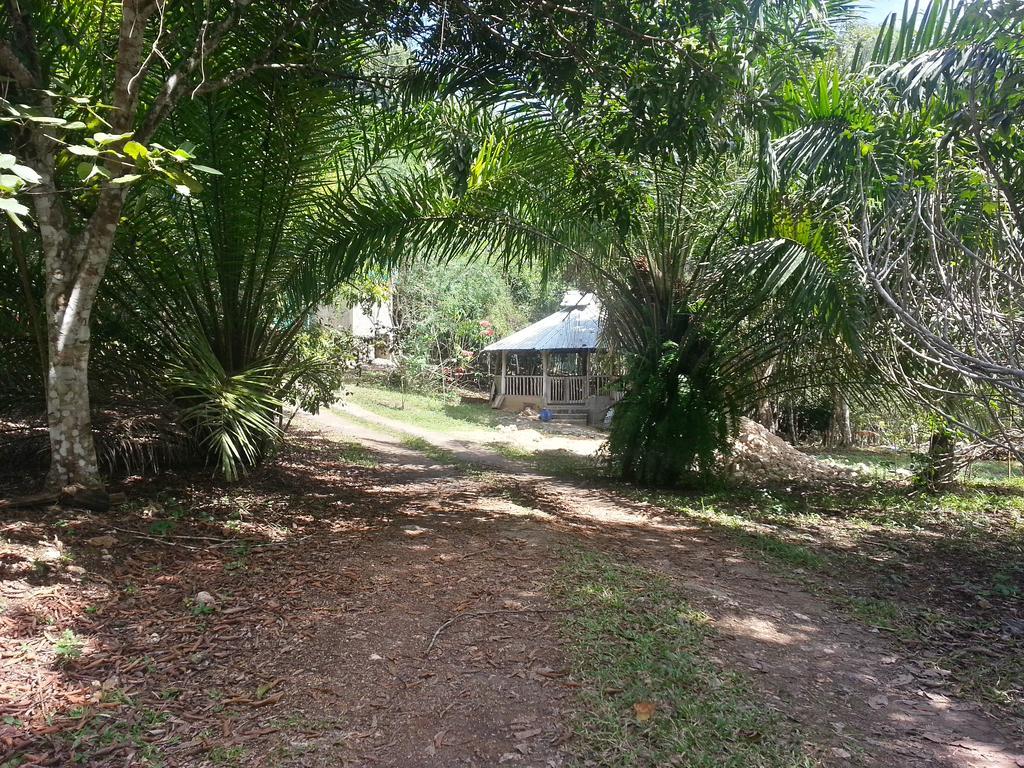 Xultun Farm Hostal San Ignacio Exterior foto